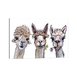 Llama Wall Art Sale You ll Love Wayfair